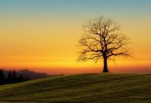 h1z1香港节点-香港节点加速器推荐