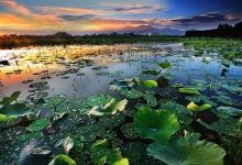 香港路由器翻墙VPN推荐指南-香港节点加速器推荐