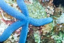 国际服换香港节点怎么换-香港节点加速器推荐