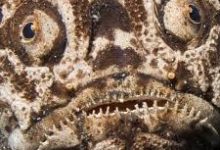 yy香港节点-香港节点加速器推荐