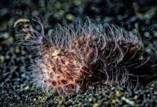 香港节点cdn加速-香港节点加速器推荐