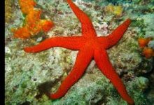 香港联通节点适合gta5的-香港节点加速器推荐