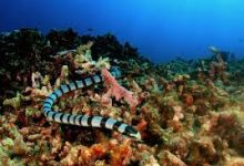 迅游有香港节点吗-香港节点加速器推荐