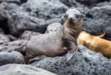 绝地求生下载节点香港-香港节点加速器推荐