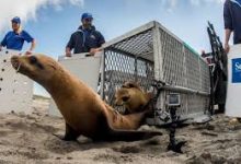 香港vps ss节点-香港节点加速器推荐