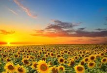 香港长期ssr节点-香港节点加速器推荐