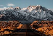 host香港节点-香港节点加速器推荐