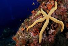 网站国内节点与香港节点的区别-香港节点加速器推荐