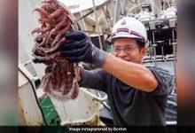 香港ss节点哪个好-香港节点加速器推荐