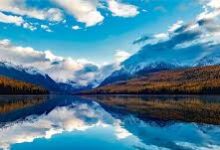 雷神加速器怎么切香港节点-香港节点加速器推荐