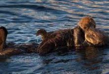 战网如何开启香港节点-香港节点加速器推荐