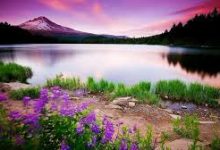 香港薪俸税申报节点-香港节点加速器推荐