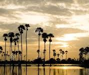 uu加速器怎么没有香港节点了-香港节点加速器推荐