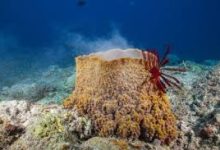 奇游 香港节点-香港节点加速器推荐