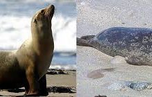 uu节点怎么全是香港的-香港节点加速器推荐