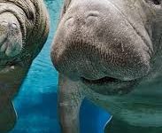 香港一带一路节点-香港节点加速器推荐