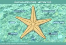 uu加速器找不到香港节点了-香港节点加速器推荐