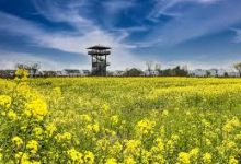 5大香港VPN推荐-香港节点加速器推荐