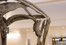 跑跑卡丁车网吧节点有香港电信吗-香港节点加速器推荐