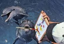 买香港节点的服务器-香港节点加速器推荐