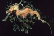 怎么进香港节点-香港节点加速器推荐