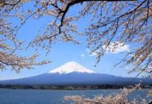 PureVPN介绍及评测报告来自香港的服务商-香港节点加速器推荐