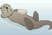 腾讯云香港节点ip段-香港节点加速器推荐