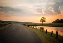 香港节点上不了谷歌商店-香港节点加速器推荐