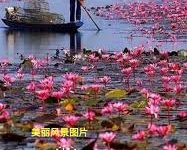 香港VPN的3大用途-香港节点加速器推荐