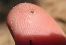 cdnzz香港cdn节点加速-香港节点加速器推荐