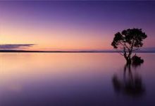 vps香港节点购买-香港节点加速器推荐