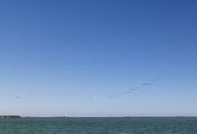 香港圣诞节点灯-香港节点加速器推荐