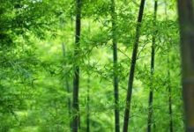 提供香港IP地址的5个最佳VPN-香港节点加速器推荐