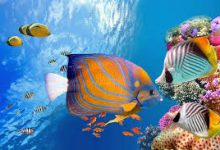 gta5节点香港还什么美国-香港节点加速器推荐