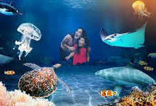 共享ssr香港节点-香港节点加速器推荐