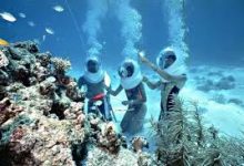 玩坦克世界亚服只有香港节点-香港节点加速器推荐