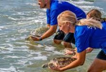 steam香港节点和国内节点速度-香港节点加速器推荐