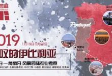 适用于香港的最佳3款VPN-香港节点加速器推荐