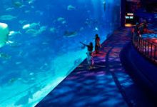 香港和美国哪个节点快-香港节点加速器推荐