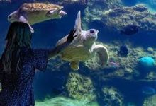 网易uu香港节点叫什么-香港节点加速器推荐