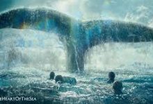 数掘科技香港高防节点-香港节点加速器推荐