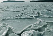 服务器在香港 用什么节点网速快点-香港节点加速器推荐