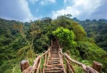 适用于安卓的手机最佳3款VPN推荐解锁Netflix奈非-香港节点加速器推荐