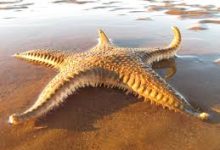 阿里云香港节点访问不了-香港节点加速器推荐