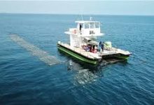 香港节点还是台湾-香港节点加速器推荐