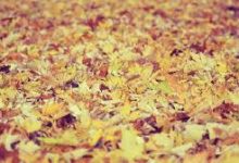 -香港节点加速器推荐