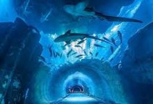 tgp香港节点-香港节点加速器推荐