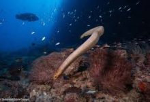 香港空间节点接口-香港节点加速器推荐