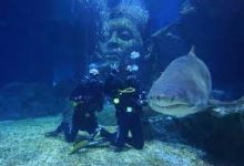 香港服务器属于国内节点吗-香港节点加速器推荐