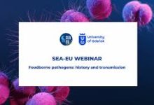 香港节点能上国外网站吗-香港节点加速器推荐